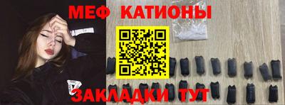 прущие грибы Гатчина
