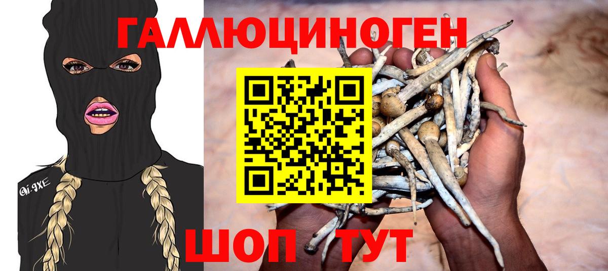 купить наркотики цена  Галлюциногенные грибы MAGIC MUSHROOMS  Вход с VPN  Нефтекумск 